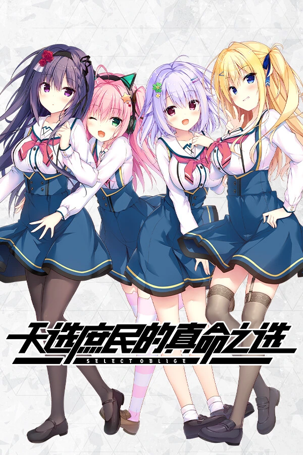 天选庶民的真命之选 封面